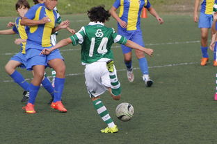 mk体育全站-中国足球高密度传控战术回合成功统计，中国足球高密度传控战术回合成功统计