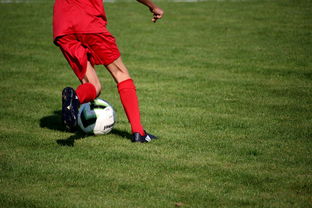 mk体育平台网页版入口-意甲裁判语义分析系统在比赛判罚中的应用研究，意甲第三轮裁判